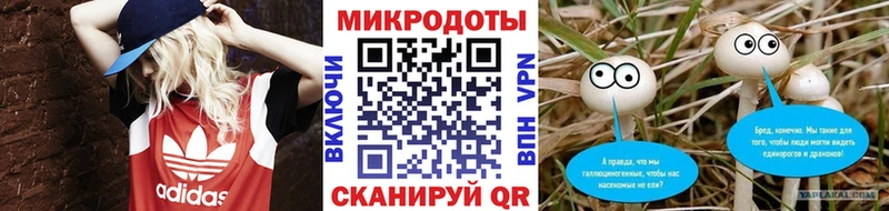 Псилоцибиновые грибы Psilocybine cubensis  Дзержинский 