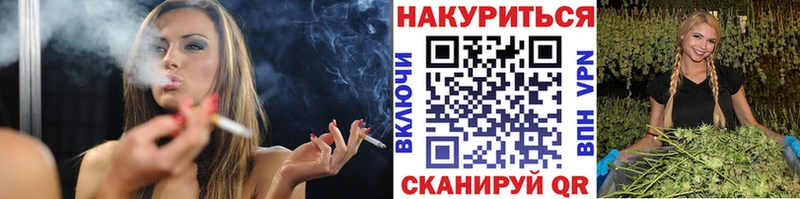 Бошки Шишки планчик закладки Дзержинский